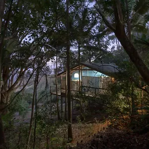 treetops-seaview-montville.hotelssunshinecoast.net/